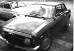 Alfa_junior.jpg (56472 byte)